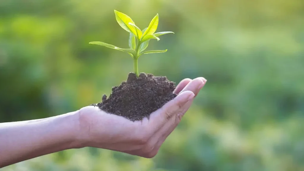 شامپو های بدون سولفات به طبیعت آسیبی وارد نمی‌کنند