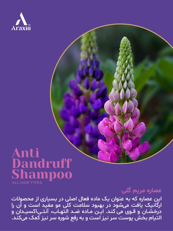 شامپو گیاهی تخصصی ضد شوره - تصویر 9