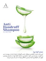 شامپو تخصصی ضد شوره و خارش سر گیاهی آراکسین - تصویر 12