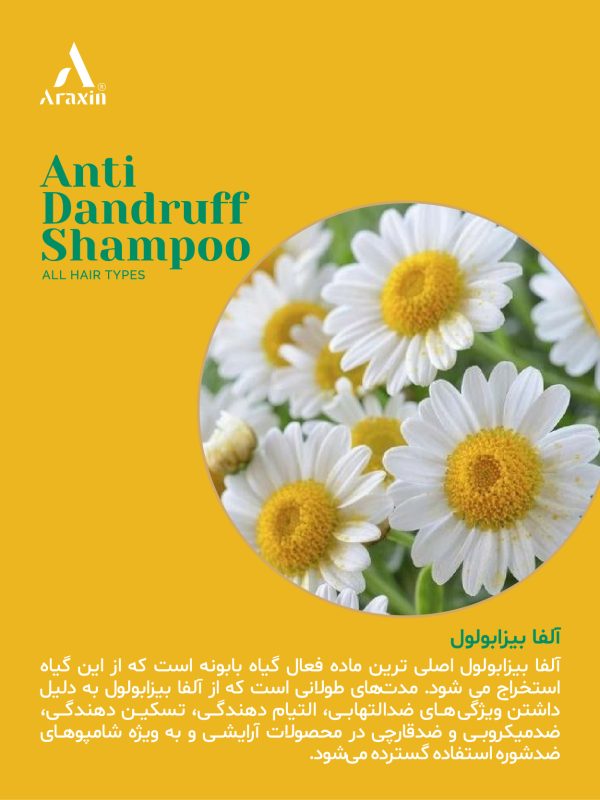 شامپو گیاهی تخصصی ضد شوره - تصویر 5