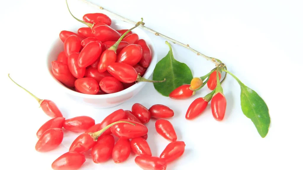 گوجی بری