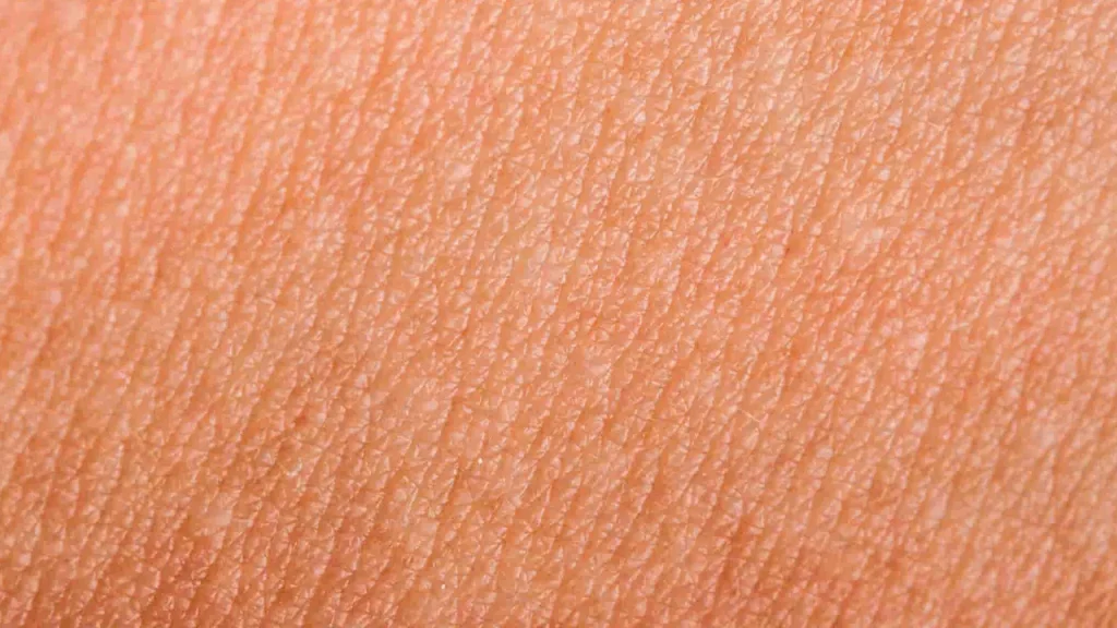 یکدستی رنگ و بافت پوست