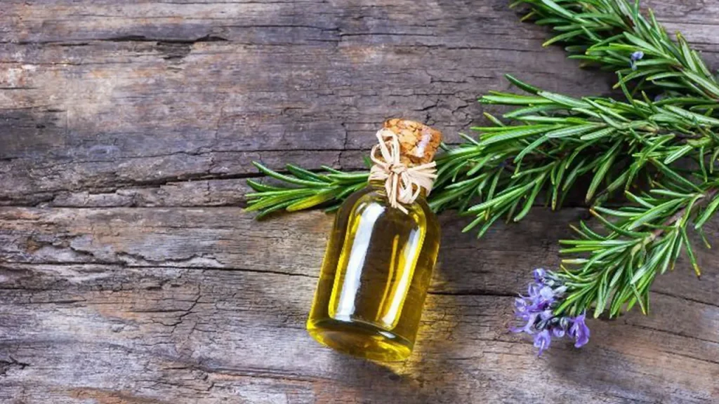 روغن رزماری