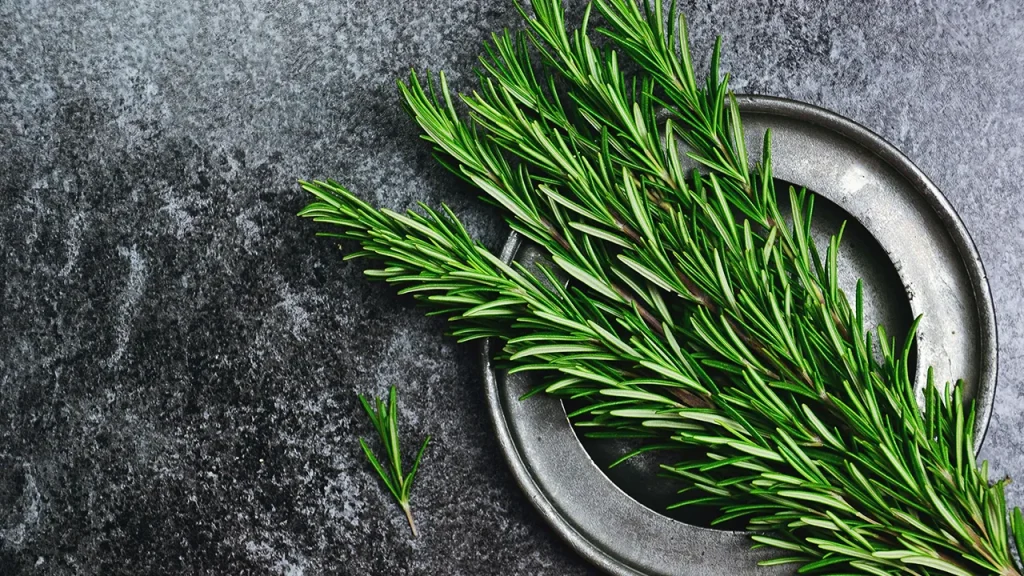 رزماری و ماینوکسیدیل