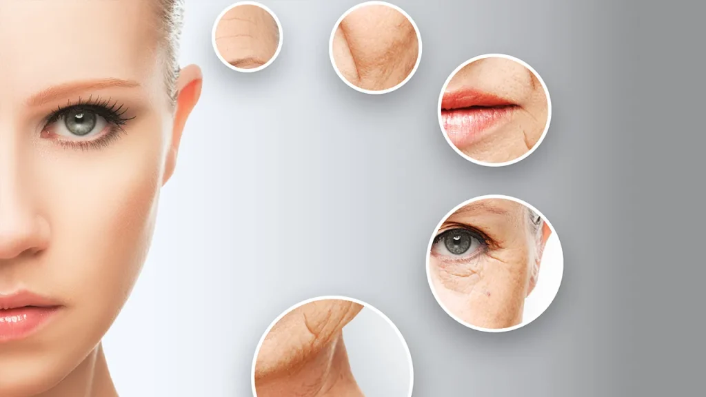 آنتی اکسیدان