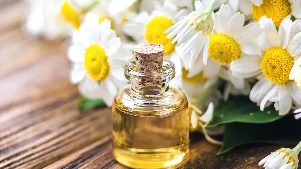 اسانس های معطر بابونه
