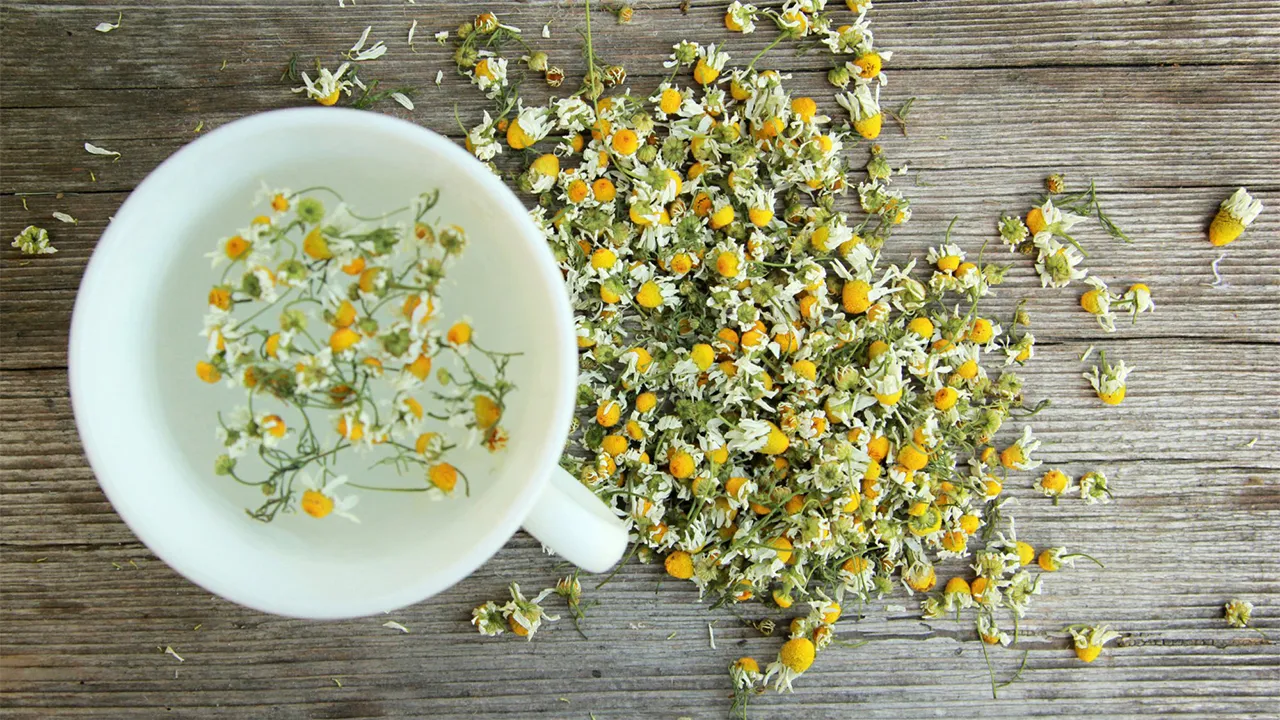 تاثیر بابونه بر روی پوست