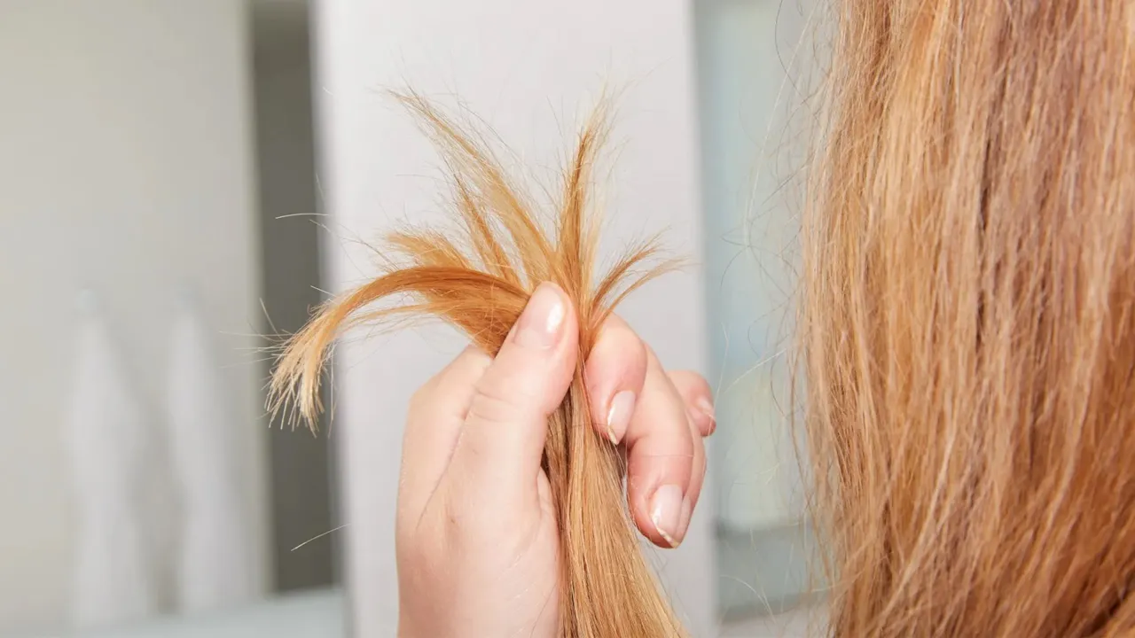 انواع موخوره و درمان آنها