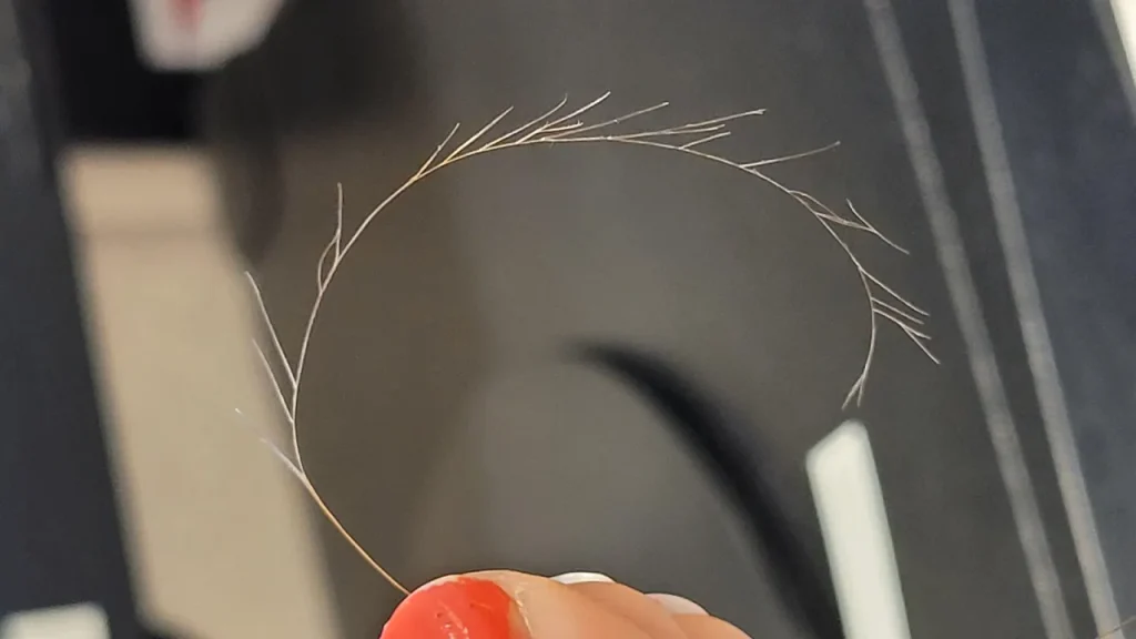 موخوره پر مانند