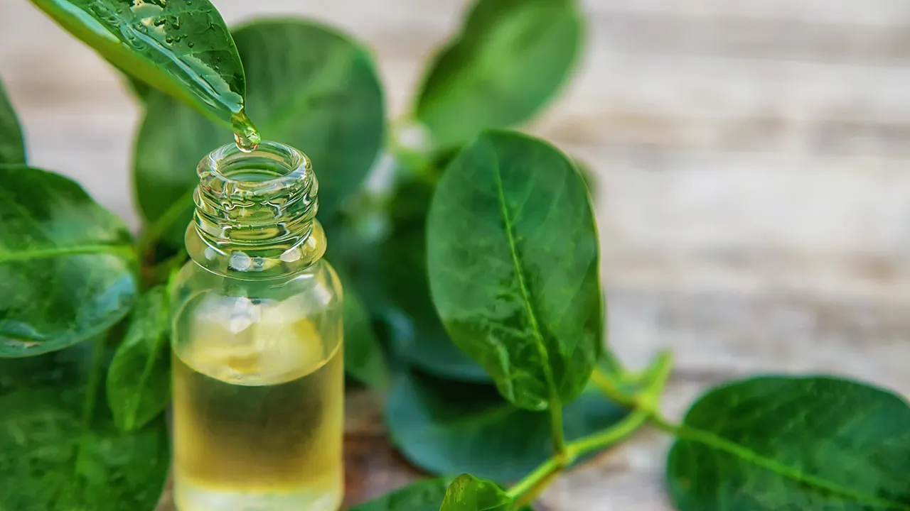 روغن درخت چای
