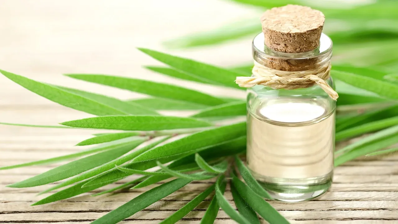 روغن درخت چای