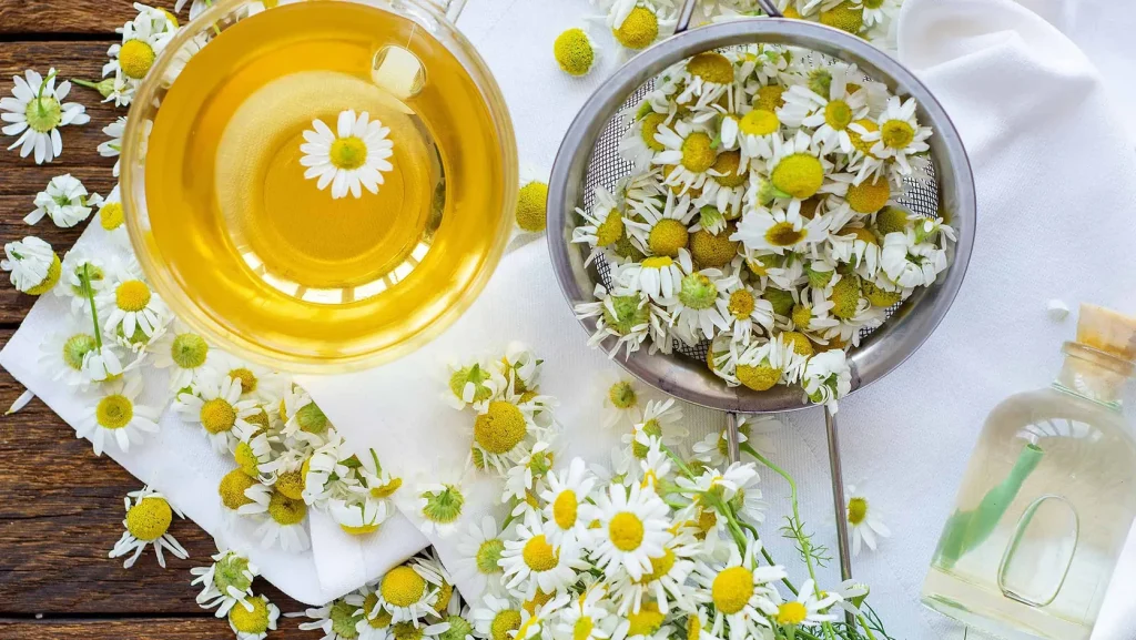 جادوی آرامش_بخش بابونه