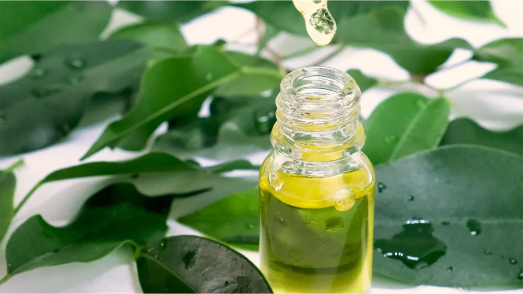 روغن درخت چای